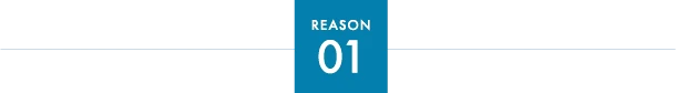 reason01