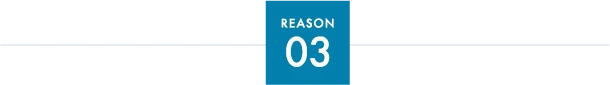 reason03
